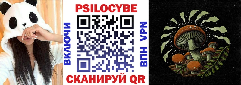 площадка как зайти Трёхгорный Псилоцибиновые грибы мухоморы наркошоп